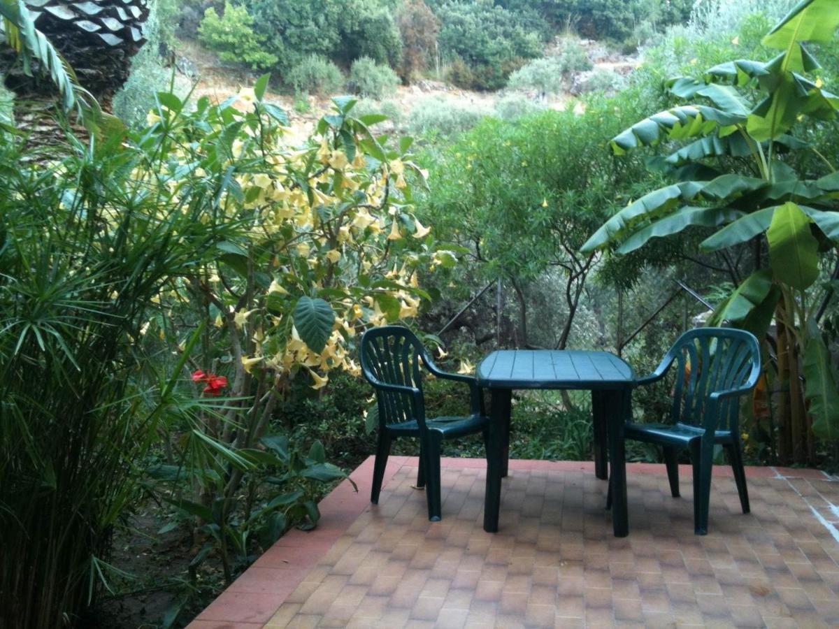 Stanza In Villa Con Giardino Vista Mare Cefalù Exterior foto