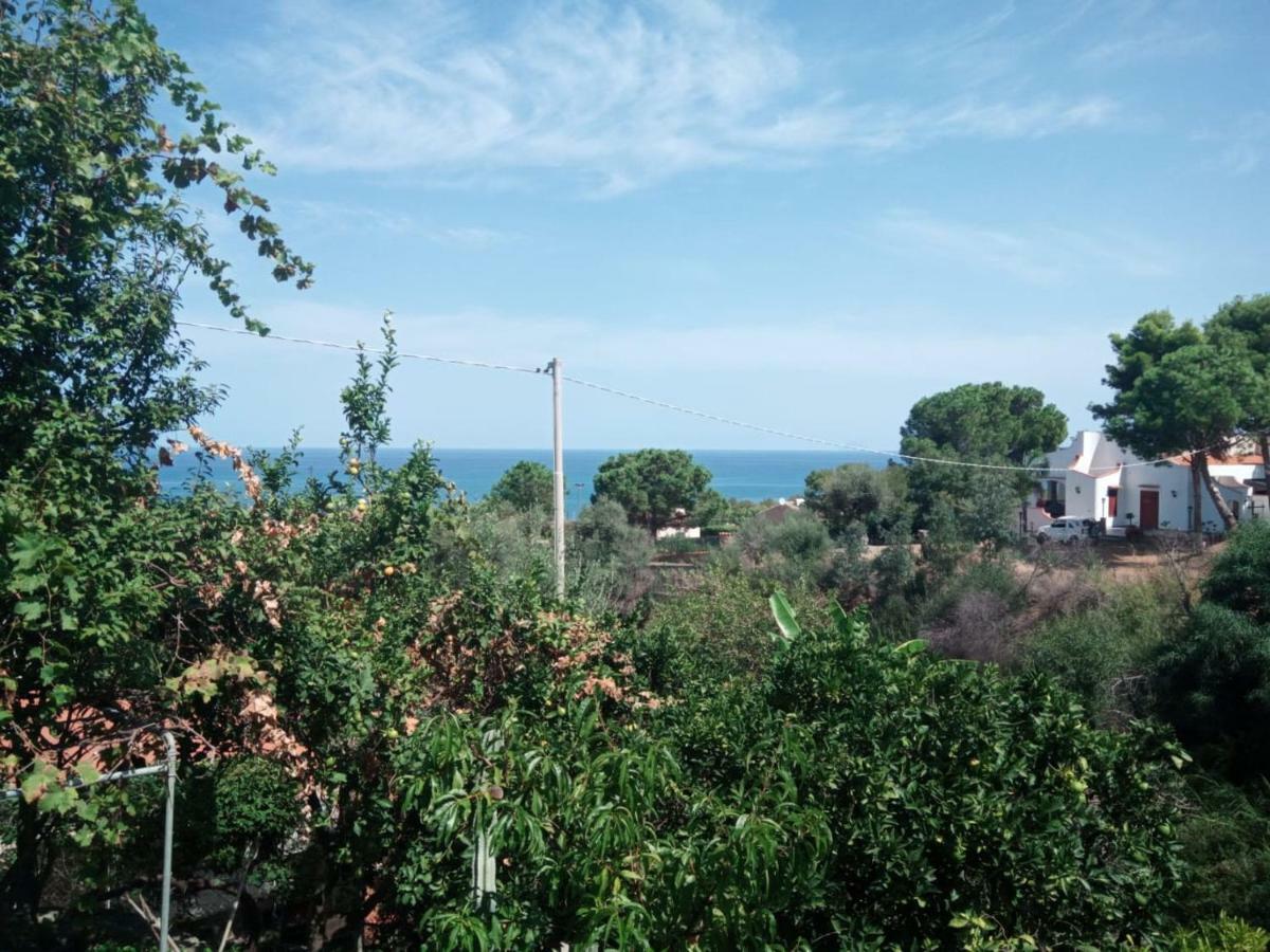 Stanza In Villa Con Giardino Vista Mare Cefalù Exterior foto